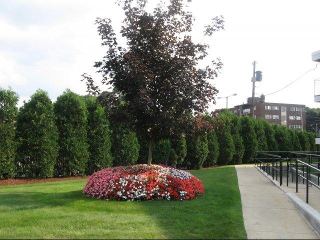 Stony Brook Village Affordable Apartments In Boston Ma Found At Stony Brook Village
