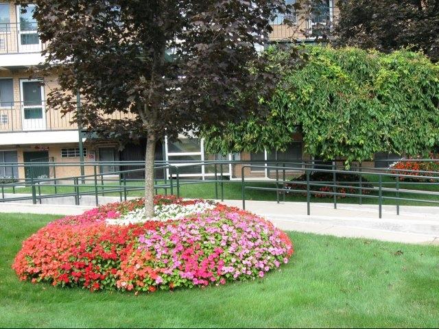 Stony Brook Village Affordable Apartments In Boston Ma Found At Stony Brook Village