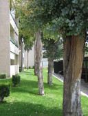 The Plaza
