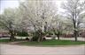 Bucyrus Plaza